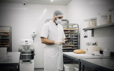 Dératisation agroalimentaire : prévention, maîtrise des nuisibles et obligations HACCP