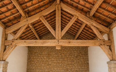 Charpente traditionnelle d’une maison : points d’attaque des insectes à larves xylophages et termites